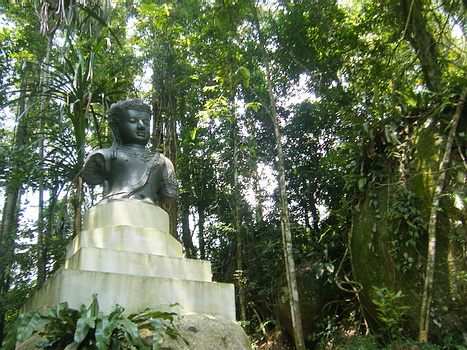สวนป่าศิขรินสินธุ