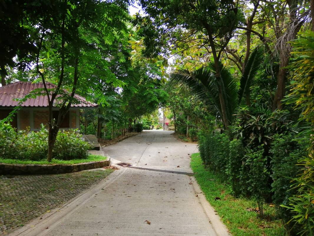 ทางเดินภายในพื้นที่