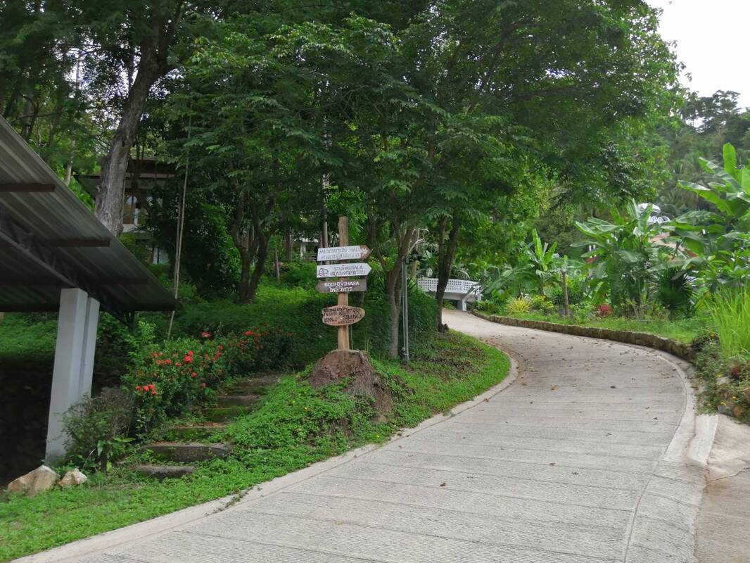 ทางเดินภายในพื้นที่