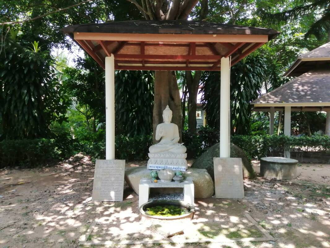 ทางเดินภายในพื้นที่
